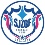 石家庄功夫队标